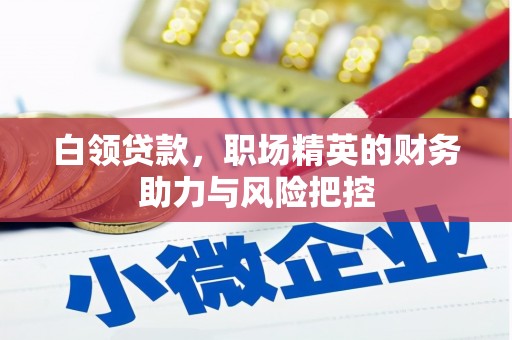 西峡白领贷款,职场精英的财务助力与风险把控 西峡白领贷款,职场精英的财务助力与风险把控